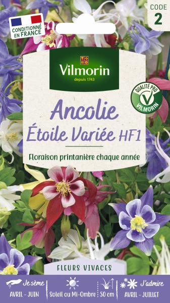 Fleurs - Ancolie Étoile Variée - PACKAGING_RECTO
